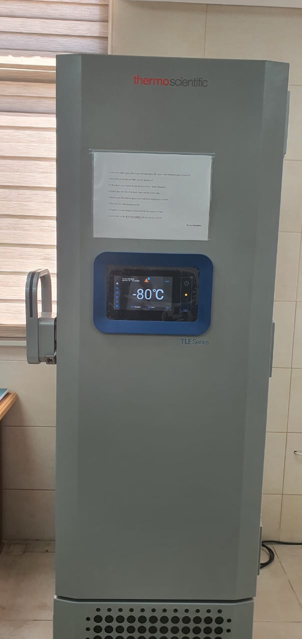 deep freeze fridge.jpeg