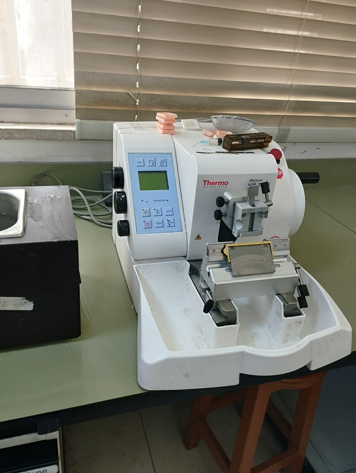 WhatsApp Image 2025-03-18 at 13.56.30 (2).jpeg