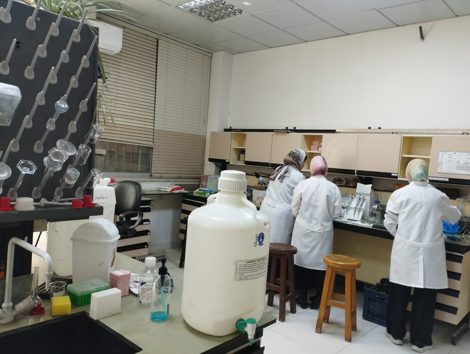 WhatsApp Image 2025-03-18 at 13.56.30.jpeg