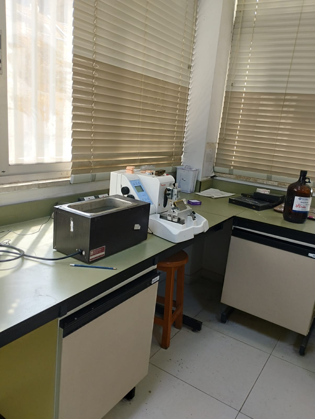 WhatsApp Image 2025-03-18 at 13.56.31 (1).jpeg