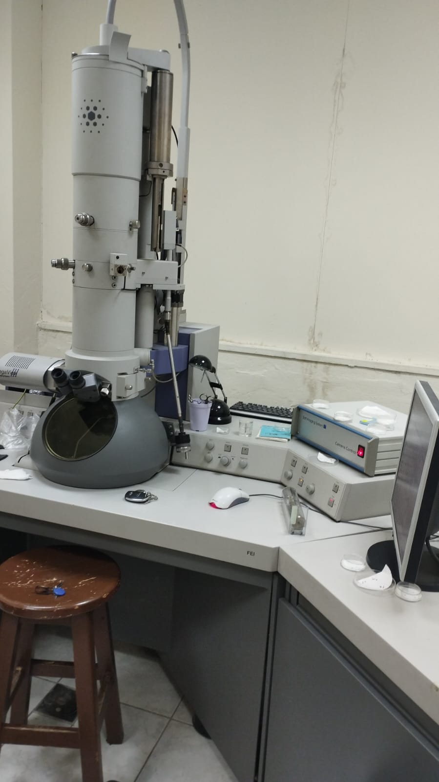 WhatsApp Image 2025-03-18 at 13.57.02.jpeg