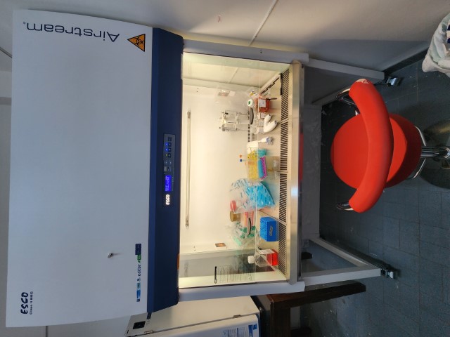 safty cabinet_jpg.jpg