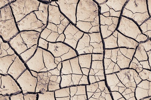 mudcracks.jpeg