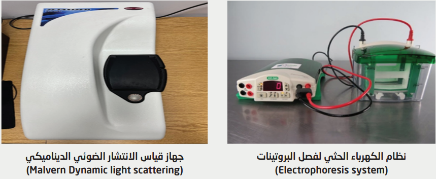 Screenshot 2025-11-19 092550.png