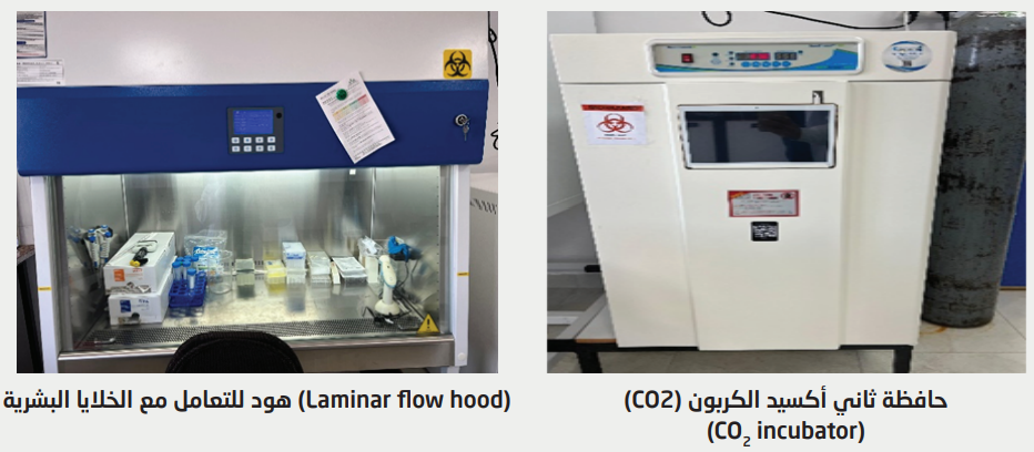 Screenshot 2025-11-19 093354.png