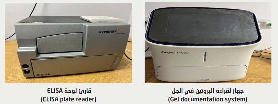 Screenshot 2025-11-19 093411.png