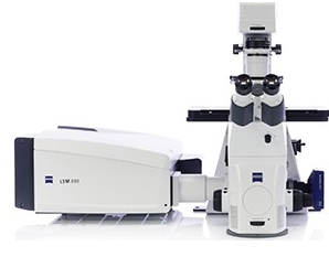 Confocal Scanning Microscopes.png