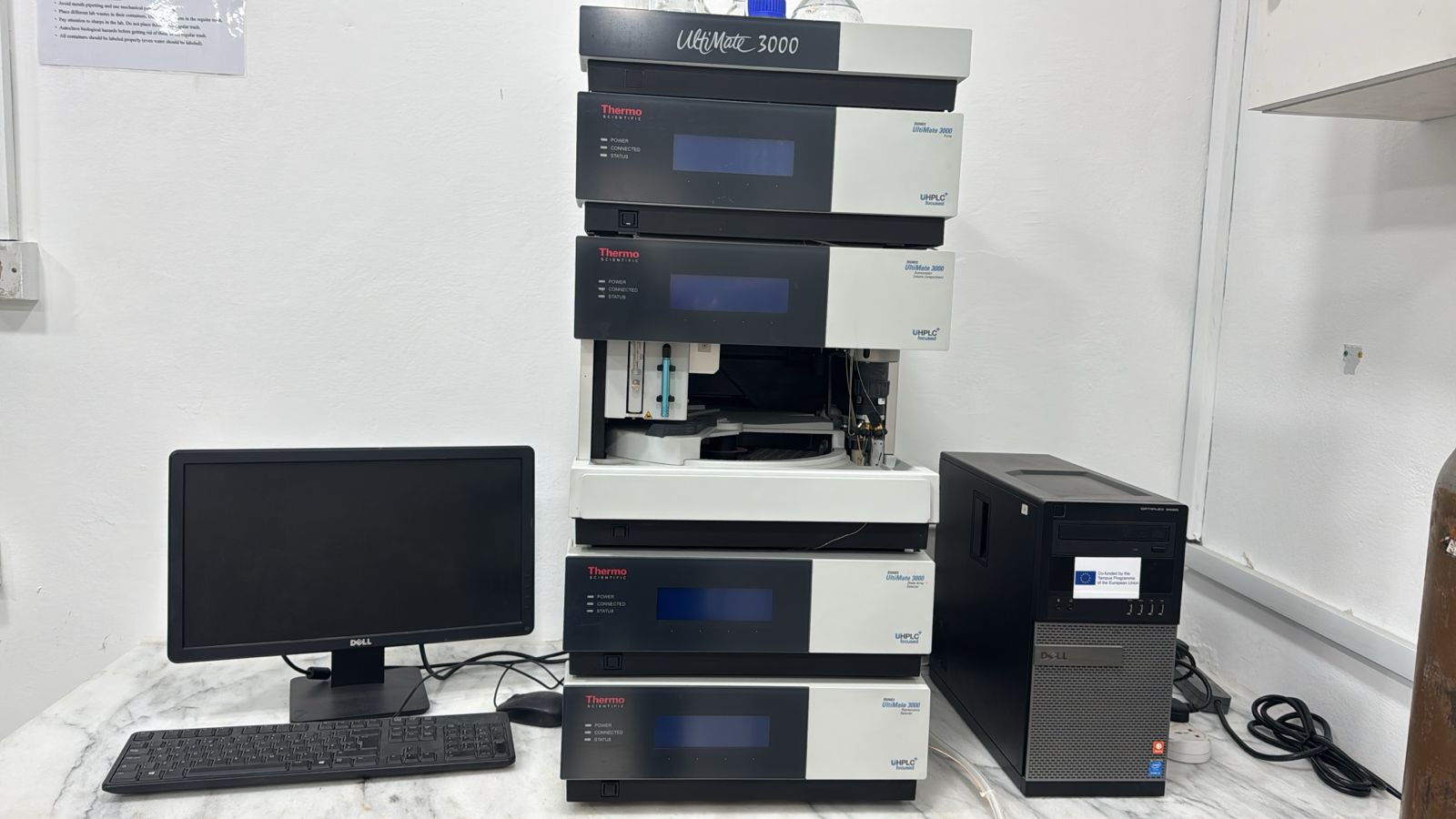 WhatsApp Image 2025-02-10 at 10.03.41 AM.jpeg