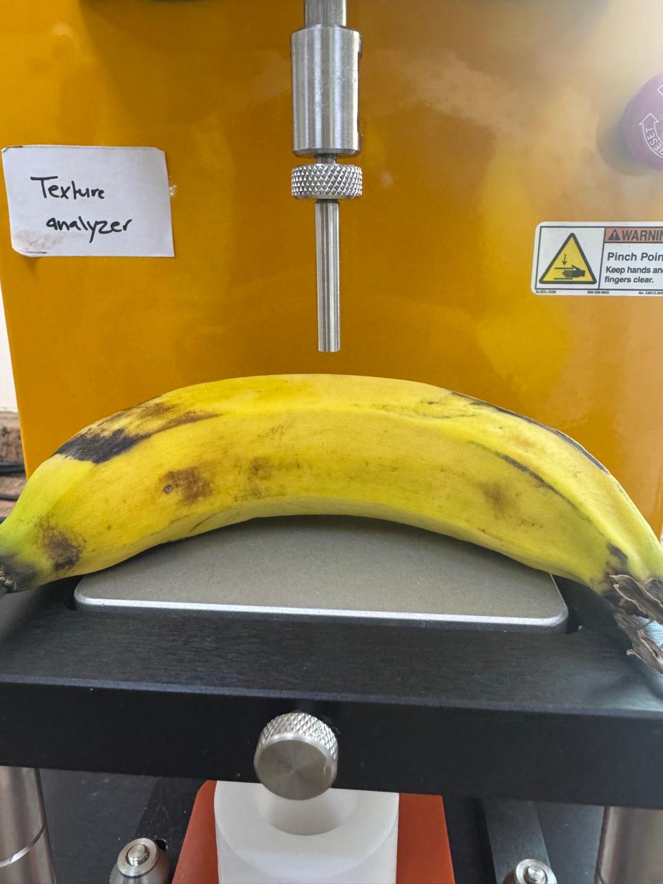 WhatsApp Image 2025-04-29 at 1.03.12 PM.jpeg