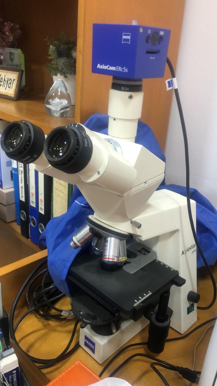Zeiss AxioCam ERC5s microscope.jpg